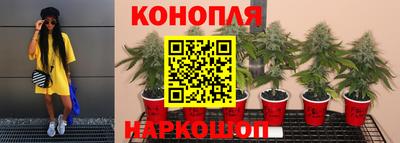 спиды Лесосибирск